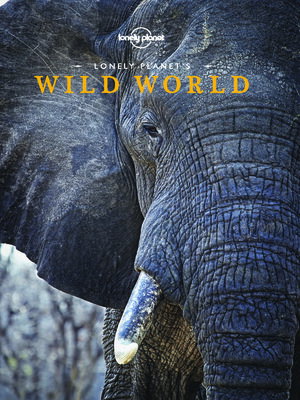 cover image of Lonely Planet's Wild World
